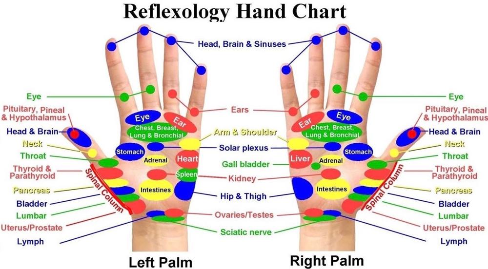 Reflexology Hand Chart